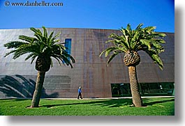 buildings, california, de young, de young museum, golden gate park, horizontal, museums, people, san francisco, trees, walls, west coast, western usa, photograph