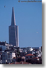 buildings, california, san francisco, trans, vertical, west coast, western usa, photograph