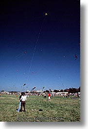 california, chrissy field, crissy field, flying, kites, san francisco, vertical, west coast, western usa, photograph