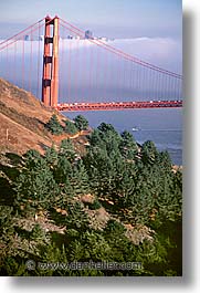 bridge, california, golden gate, golden gate bridge, national landmarks, san francisco, vertical, west coast, western usa, photograph