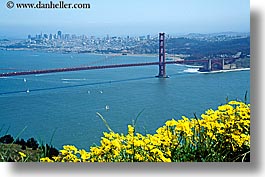 bridge, california, flowers, golden gate, golden gate bridge, horizontal, national landmarks, san francisco, west coast, western usa, photograph