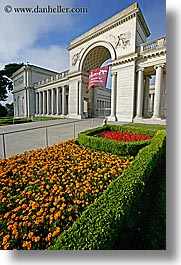 california, flowers, gardens, legion of honor, museums, san francisco, vertical, west coast, western usa, photograph