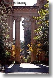 california, palace fine art, palace of fine art, pillars, san francisco, trees, vertical, west coast, western usa, photograph