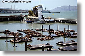 california, forbes, horizontal, islands, lions, piers, san francisco, seas, west coast, western usa, photograph