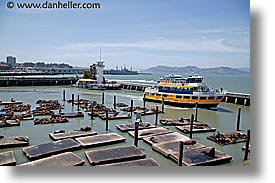 california, ferry, gold, horizontal, lions, piers, san francisco, seas, west coast, western usa, photograph
