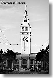 black and white, buildings, california, clocks, ports, san francisco, towers, trees, vertical, west coast, western usa, photograph