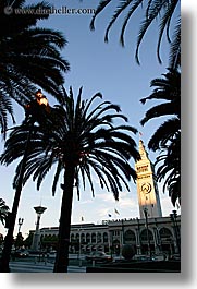 buildings, california, clocks, palm trees, ports, san francisco, towers, trees, vertical, west coast, western usa, photograph