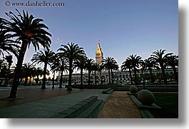 buildings, california, clocks, horizontal, palm trees, ports, san francisco, towers, trees, west coast, western usa, photograph