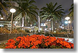 california, cityscapes, flowers, horizontal, lamp posts, long exposure, nite, palm trees, san francisco, union square, west coast, western usa, photograph