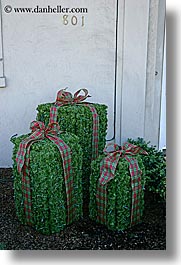 bushes, california, christmas, presents, san francisco, vertical, west coast, western usa, photograph