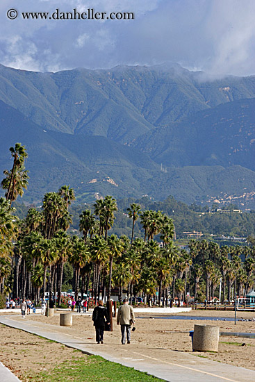 california beaches palm trees. each-palm_trees-pedestrians-
