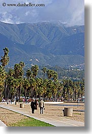 beaches, california, mountains, nature, palm trees, paths, pedestrians, plants, santa barbara, trees, vertical, west coast, western usa, photograph