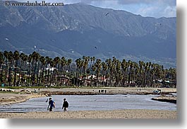 beaches, california, horizontal, mountains, nature, palm trees, pedestrians, plants, santa barbara, trees, west coast, western usa, photograph