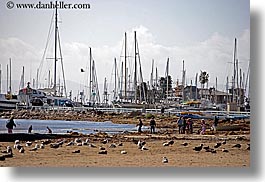 beaches, birds, california, horizontal, people, sailboats, santa barbara, west coast, western usa, photograph
