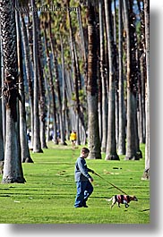 animals, boys, california, childrens, dogs, nature, palm trees, palms, people, plants, santa barbara, trees, vertical, walking, west coast, western usa, photograph