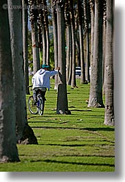 among, bicycles, california, men, nature, palm trees, palms, plants, santa barbara, transportation, trees, vertical, west coast, western usa, photograph