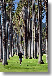 california, jogging, men, nature, palm trees, palms, plants, santa barbara, trees, vertical, west coast, western usa, photograph