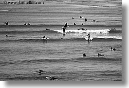 activities, black and white, california, coastline, horizontal, nature, ocean, people, santa cruz, surfers, surfing, swim, water, waves, west coast, western usa, photograph