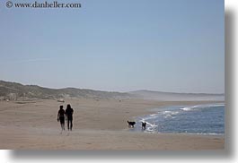 beaches, bodega bay, california, coast, couples, dogs, horizontal, sonoma, walking, west coast, western usa, photograph