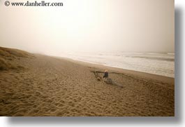 bodega bay, california, coast, horizontal, shores, sitting, sonoma, west coast, western usa, photograph