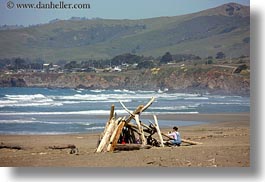beaches, bodega bay, branches, california, coast, horizontal, huts, sonoma, west coast, western usa, woods, photograph