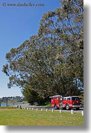 bodega bay, california, fire truck, sonoma, tall, trees, vertical, west coast, western usa, photograph