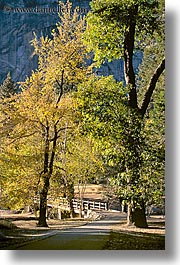 bridge, california, nature, plants, structures, trees, vertical, walking, west coast, western usa, yosemite, photograph