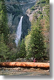 california, falls, logs, nature, trees, vertical, water, waterfalls, west coast, western usa, yosemite, yosemite falls, photograph