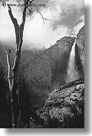 black and white, california, falls, nature, trees, vertical, water, waterfalls, west coast, western usa, yosemite, yosemite falls, photograph