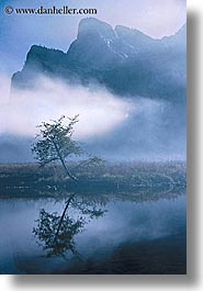 california, fog, foggy, mountains, nature, reflections, trees, vertical, water, west coast, western usa, yosemite, photograph