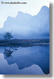 california, fog, foggy, mountains, nature, reflect, reflections, trees, vertical, water, west coast, western usa, yosemite, photograph