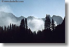 california, fog, horizontal, mountains, nature, silhouettes, trees, west coast, western usa, yosemite, photograph