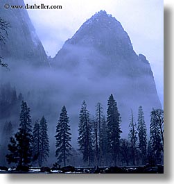 california, eve, fog, foggy, mountains, nature, square format, trees, west coast, western usa, yosemite, photograph