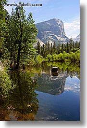 california, lakes, mirror lake, mountains, nature, plants, reflections, trees, vertical, water, west coast, western usa, yosemite, photograph