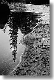 black and white, california, lakes, materials, mirror lake, nature, plants, reflections, rivers, sand, trees, vertical, water, west coast, western usa, yosemite, photograph