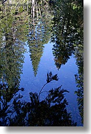 california, lakes, mirror lake, nature, plants, reflecting, reflections, trees, vertical, water, west coast, western usa, yosemite, photograph