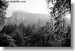 black and white, california, half dome, horizontal, morning, mountains, nature, sky, sun, trees, west coast, western usa, yosemite, photograph