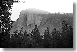 black and white, california, half dome, horizontal, morning, mountains, nature, trees, west coast, western usa, yosemite, photograph