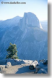 california, half dome, mountains, nature, trees, vertical, west coast, western usa, yosemite, photograph