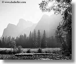 black and white, california, horizontal, morning, mountains, nature, plants, trees, west coast, western usa, yosemite, photograph