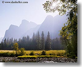 california, horizontal, morning, mountains, nature, plants, trees, west coast, western usa, yosemite, photograph