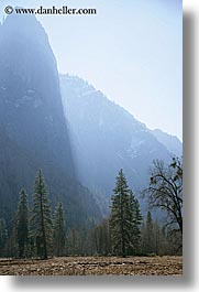california, morning, mountains, nature, plants, trees, vertical, west coast, western usa, yosemite, photograph
