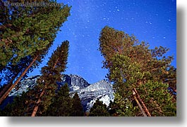 california, horizontal, mountains, nature, nite, plants, sky, star field, stars, trees, upview, west coast, western usa, yosemite, photograph