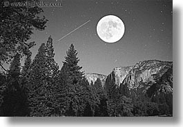 black and white, california, horizontal, moon, nature, nite, plants, sky, star field, trees, west coast, western usa, yosemite, photograph