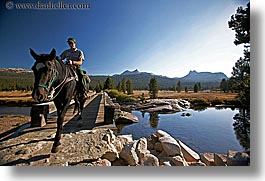 animals, california, horizontal, horses, nature, people, ranger, rivers, water, west coast, western usa, yosemite, photograph