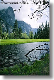branches, california, nature, plants, scenics, stream, trees, vertical, water, west coast, western usa, yosemite, photograph
