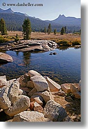 california, mountains, river bank, rockies, scenics, vertical, water, west coast, western usa, yosemite, photograph