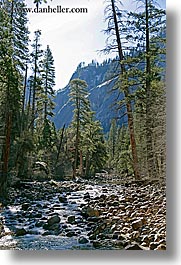 california, nature, plants, scenics, stream, trees, vertical, west coast, western usa, yosemite, photograph