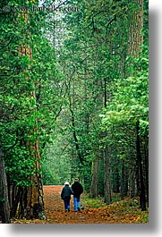 california, couples, nature, paths, people, plants, redwood trees, redwoods, sequoia, trees, vertical, walk, west coast, western usa, yosemite, photograph
