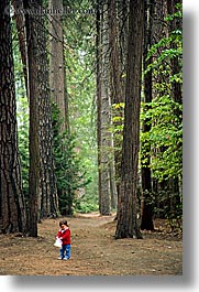 babies, boys, california, forests, toddlers, trees, vertical, west coast, western usa, woods, yosemite, photograph
